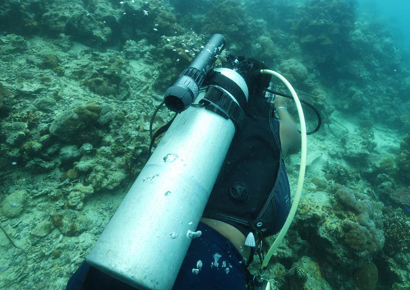 Buceo