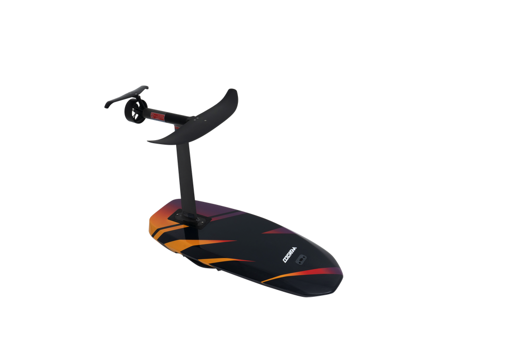 Waydoo Flyer EVO Master Plus